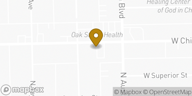 Map showing the location of Enterprise Rent-A-Car in Oak Park, IL 60302