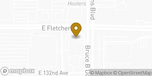Map showing the location of Dunkin' in Tampa, FL 33612