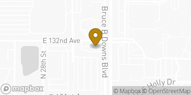 Map showing the location of Starbucks in Tampa, FL 33612