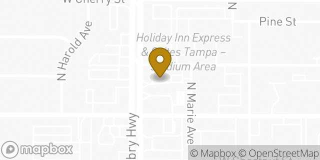 Map showing the location of Chipotle Mexican Grill in Tampa, FL 33607