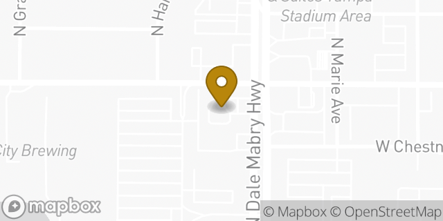 Map showing the location of 7-Eleven in Tampa, FL 33607