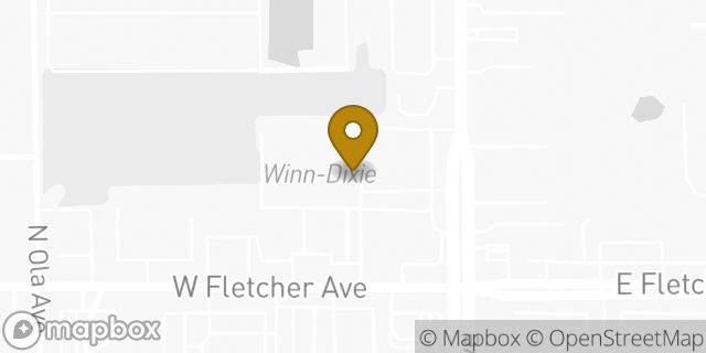 Map showing the location of Winn-dixie in Tampa, FL 33613