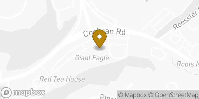 Map showing the location of Giant Eagle in Pittsburgh, PA 15220