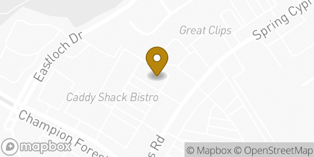 Map showing the location of McDonald's in Spring, TX 77379