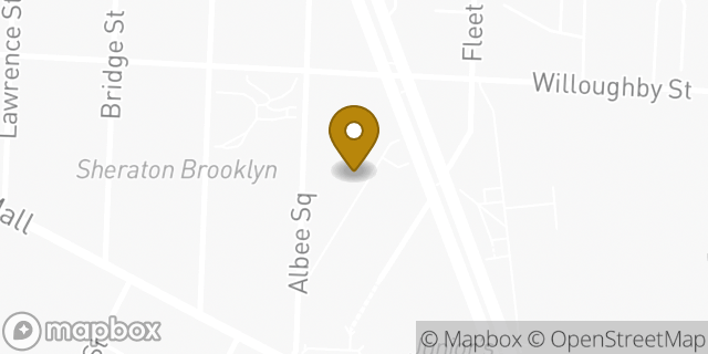 Map showing the location of CVS Pharmacy in Brooklyn, NY 11201