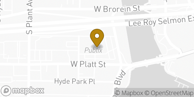 Map showing the location of Publix in Tampa, FL 33606