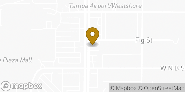 Map showing the location of Chipotle Mexican Grill in Tampa, FL 33609