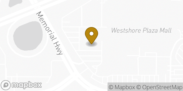 Map showing the location of Dick's Sporting Goods in Tampa, FL 33609