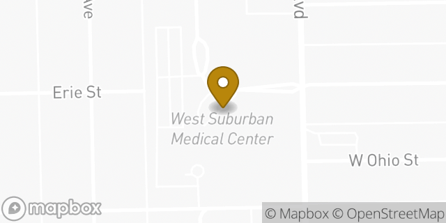 Map showing the location of Dunkin' in Oak Park, IL 60302