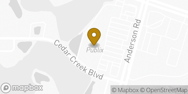Map showing the location of Publix in Tampa, FL 33625