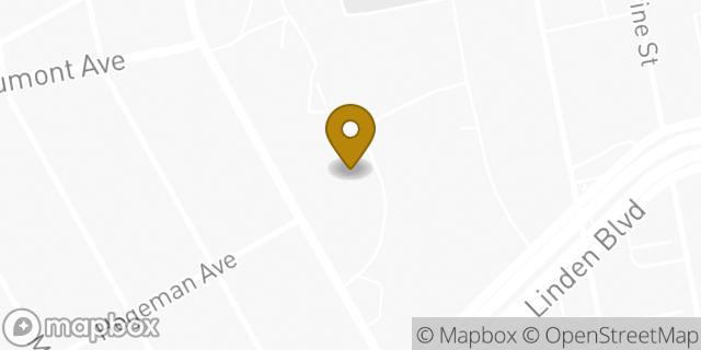 Map showing the location of Amazon Locker - Viennav in Brooklyn, NY 11208
