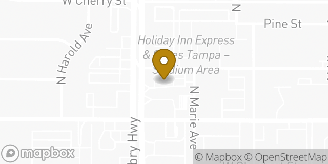 Map showing the location of Starbucks in Tampa, FL 33607