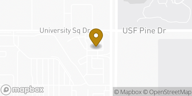 Map showing the location of Panera Bread in Tampa, FL 33612