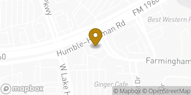 Map showing the location of FM 1960 & Lake Houston in Atascocita, TX 77346