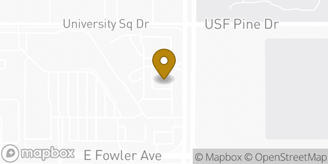 Map showing the location of Regions Bank in Tampa, FL 33612
