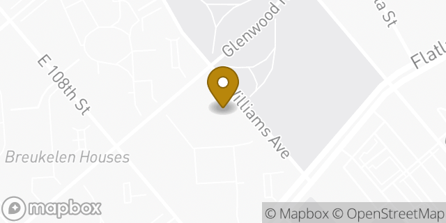 Map showing the location of Amazon Locker - Bees in Brooklyn, NY 11207