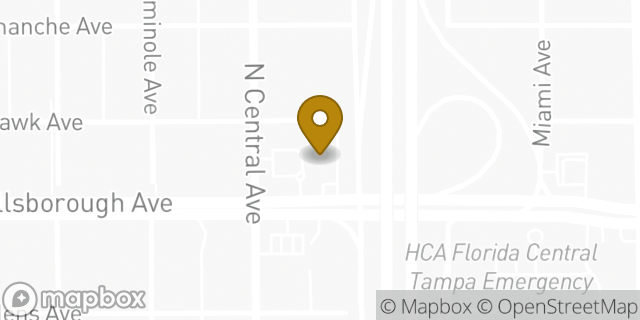 Map showing the location of Papa Johns Pizza in Tampa, FL 33604