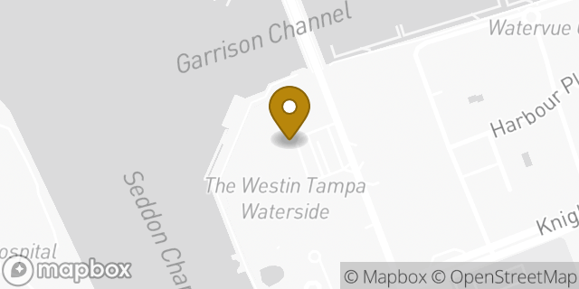 Map showing the location of Starbucks in Tampa, FL 33602