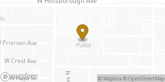 Map showing the location of Publix in Tampa, FL 33614