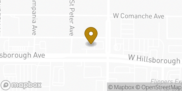 Map showing the location of Subway in Tampa, FL 33614