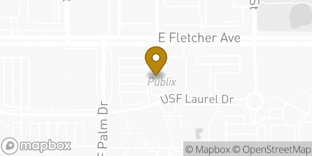 Map showing the location of Publix in Tampa, FL 33613