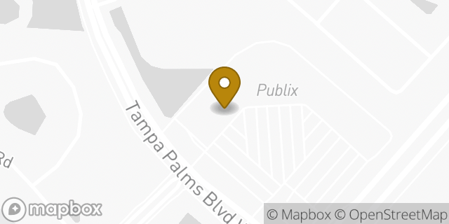 Map showing the location of The UPS Store in Tampa, FL 33647