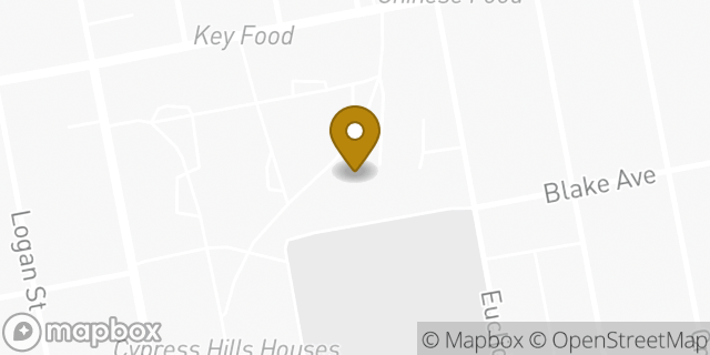 Map showing the location of Amazon Locker - Delphinium in Brooklyn, NY 11208