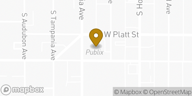 Map showing the location of Publix in Tampa, FL 33609