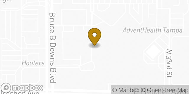 Map showing the location of Walgreens Pharmacy in Tampa, FL 33613